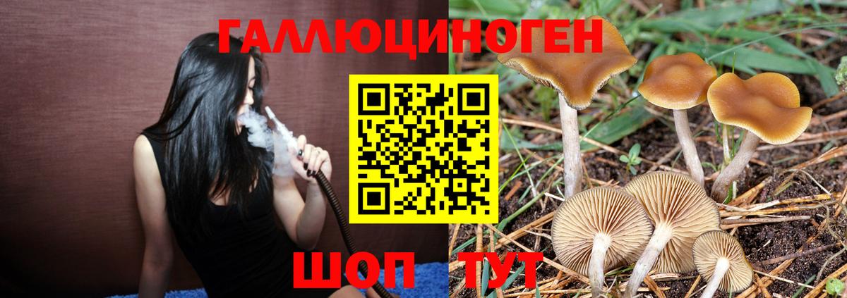 Нижневартовск  Галлюциногенные грибы Cubensis  Вход с VPN 