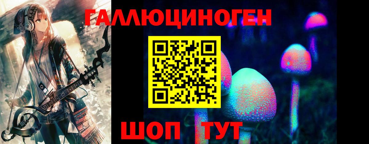 Псилоцибиновые грибы Psilocybine cubensis Нижневартовск